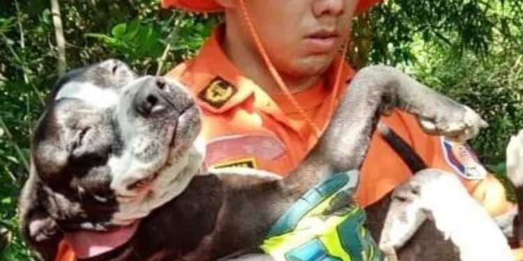 Feliz tras ser rescatado rescate